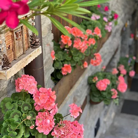 Guest house D'hotes Maribel Pre-Saint-Didier